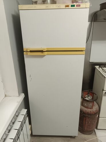 Холодильники: Холодильник Минск, Б/у, Двухкамерный