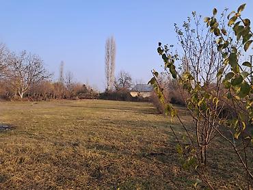 Torpaq sahələrinin satışı: 25 sot, Mülkiyyətçi — 7