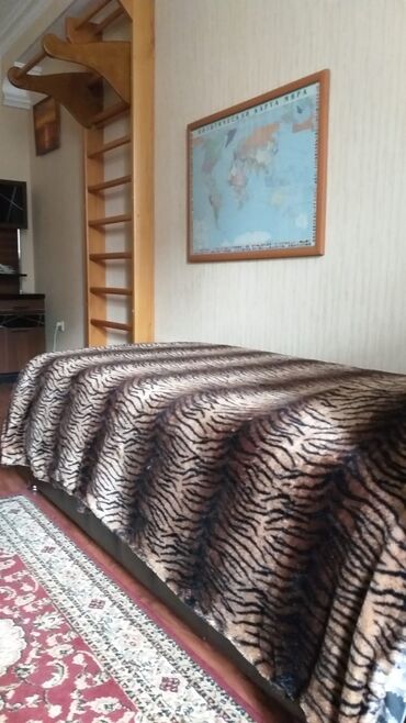 Otaqların uzunmüddətli kirayəsi: Studio tipli, tam mebelləşdirilmiş otaq və mətbəx dəsti. - Otaq — 13