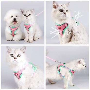 Зоотовары: Продаю шлейки для кошек и собак,поводки/рулетки,лежанки,машинки для — 11