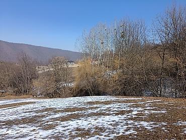 Torpaq sahələrinin satışı: 100 sot, Mülkiyyətçi, Bələdiyyə — 7