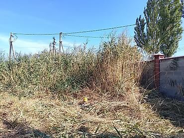 уборка травы на участке: Косим травы сорняк камышей живой изгороди стришка газон ЧОП чабабыз — 3
