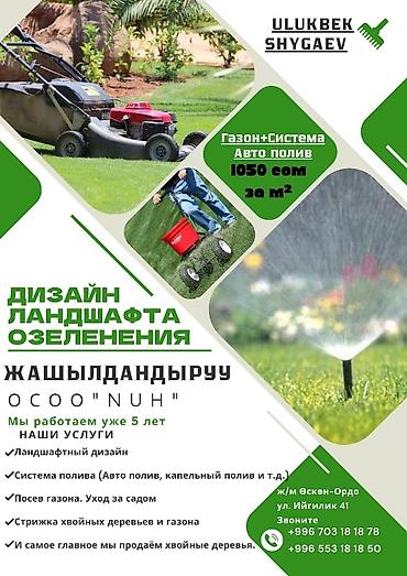 Другие декоративные деревья: Формованные деревья самшита, идеально подходящие для украшения сада — 9