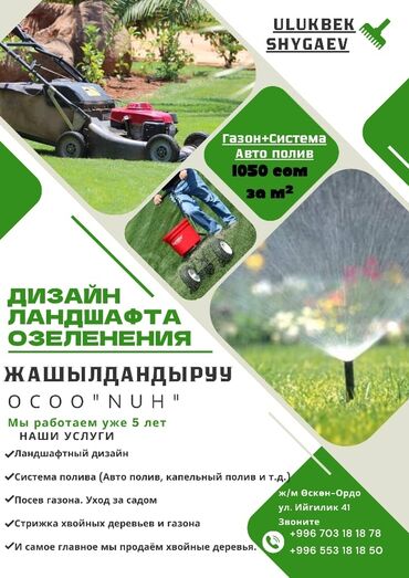 полив газон: Система полива. Система автополива. Сеем газон. Газон и автополива