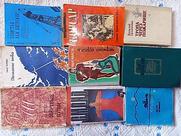 школьники сливы: Коллекция разножанровых книг (художественная литература, детективы — 10
