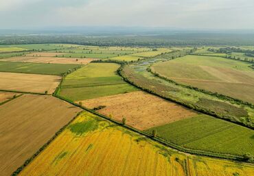 продаю участок арча бешике: 5000 соток, Для сельского хозяйства, Договор купли-продажи