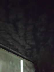 поиск работы для студентов: Ищю роботу мне 17 лет