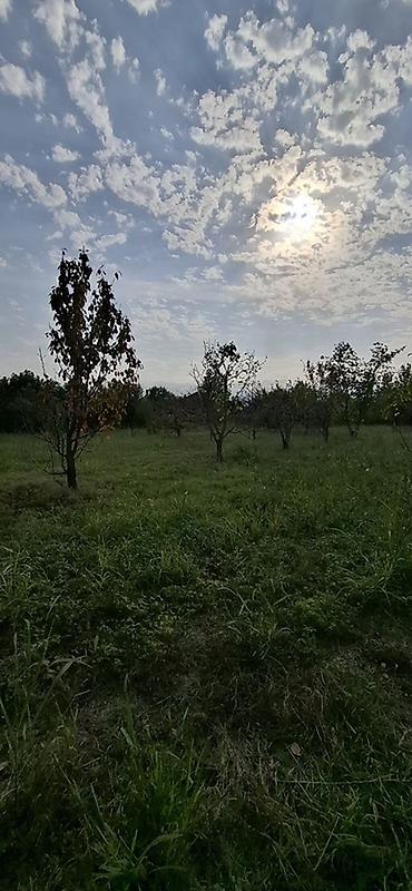 corat ev alqi satqisi: Tikinti — 9