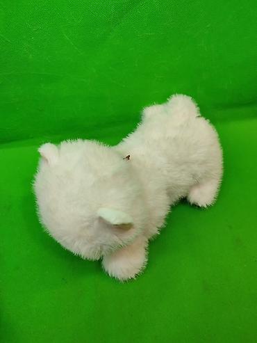 Игрушки: Кошка и панда мягкие игрушки оригинал в ассортименте🔥 Комплектация — 7