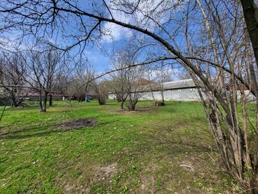 Torpaq sahələrinin satışı: Tikinti — 26