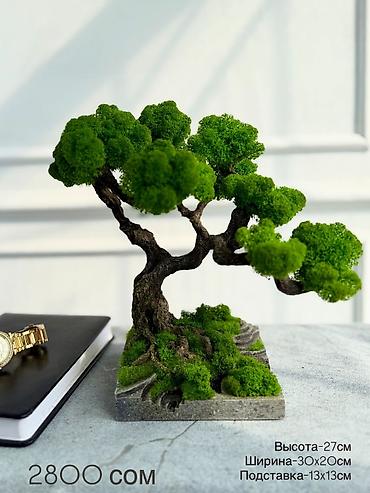 Декоративные цветы: Бонсай ручной работы из натурального стабилизированного мха от 1500 — 54