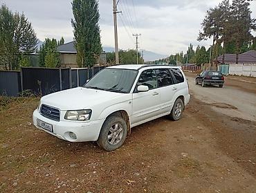Subaru: Subaru Forester: 2003 г., 2 л, Автомат, Бензин, Кроссовер — 1