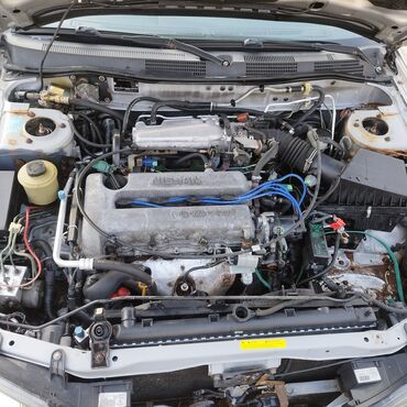 Nissan: Nissan Primera: 2001 г., 2 л, Вариатор, Бензин, Универсал — 4