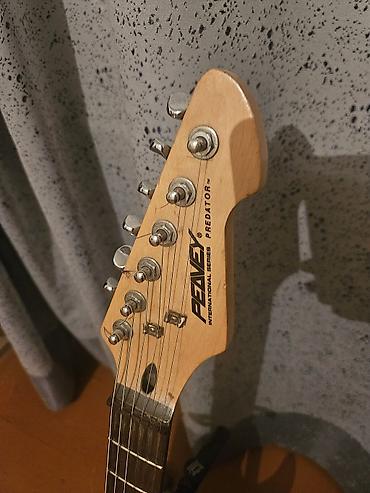 Gitaralar: Peavey Predator elektro gitarası və Roland GR-30 gitara sintezatoru — 6