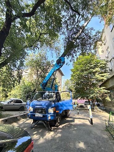 put up: Аренда, услуга автокрана, манипулятора,автогидроподъёмника, автовышки — 1