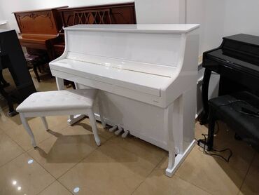 Pianolar: Elektro Pianino Satışı - Piano Gallery Music Store" Sizlərə Akustik və