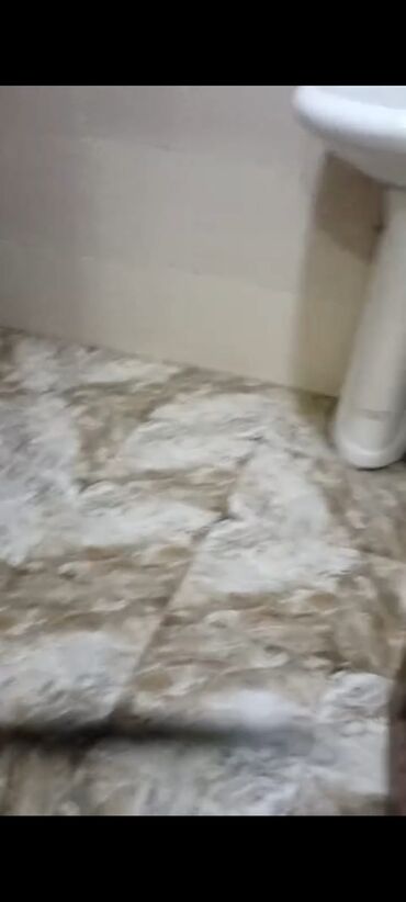 Uzunmüddətli kirayə evlər: 40 kv. m, 1 otaqlı, Kanalizasiya, İnternet, Telefon — 2