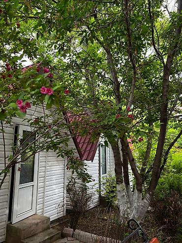 Иссык-Куль 2026: Гостиница 🏨 день ночь сутки Иссык куль Бостери улица Кожомбердиева 57 — 15