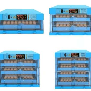 drobilka satilir: Inkubator inkubatorlarin birinci əl satişi unversal inkubator