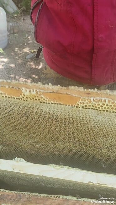 Мёд: Токтогульский мед,100℅чистый 1л-750сом 1бачок-15000т — 8