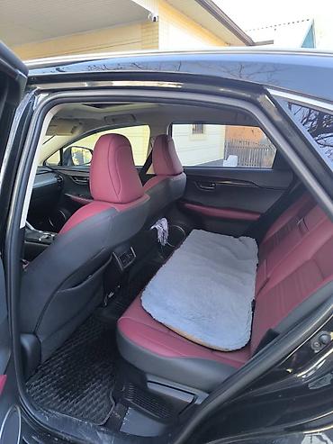 Lexus: Lexus NX: 2019 г., 2 л, Автомат, Бензин, Внедорожник — 11