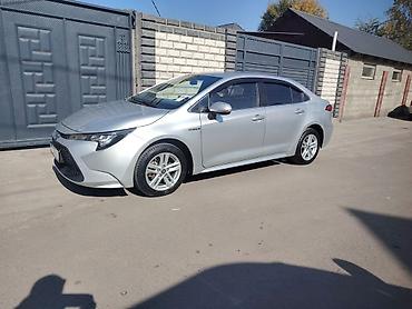 Toyota: Toyota Levin: 2020 г., 1.8 л, Вариатор, Гибрид, Седан — 3