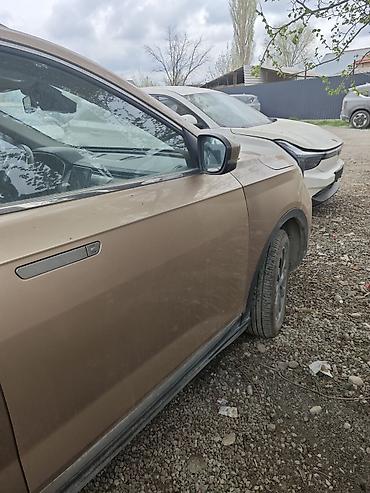 Zeekr: Zeekr : | 2020 г. Кроссовер — 3