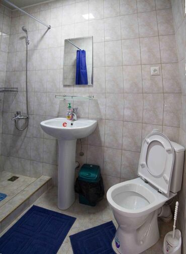 Продажа домов: Дом, 400 м², 12 комнат, Собственник, Евроремонт — 10