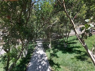 Yeni tikili: Yeni Günəşli Massiv D, 2 otaqlı, Yeni tikili, 53 kv. m — 11