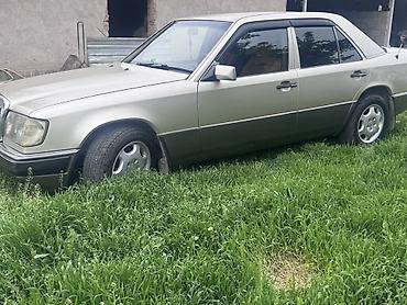 авто полироль: Mercedes-Benz W124: 1990 г., 2.3 л, Механика, Бензин, Седан — 2