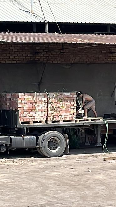 m100: Пустотелый, дырчатый, Жженый кирпич, Полублок, 250×120×88 — 3
