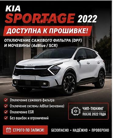 🚗 Доступна прошивка корейских автомобилей 2021–2022 года! Теперь