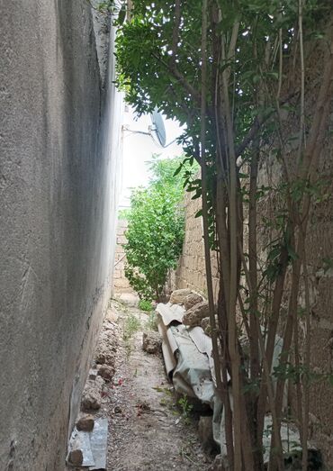 Həyət evləri və villaların satışı: Binə 4 otaqlı, 100 kv. m, Kredit yoxdur, Orta təmir — 15