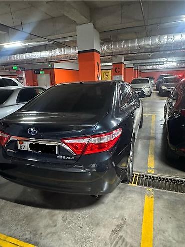 Toyota: Toyota Camry: 2015 г., 2.5 л, Автомат, Бензин, Седан — 3