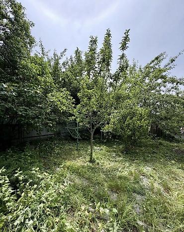 Продажа дачи: 🏡🔥 ПРОДАЁТСЯ ДАЧА В ТАШ-МОЙНОКЕ! ДТ: «Мичуринец» 🌿 💥 Участок — 6 — 6