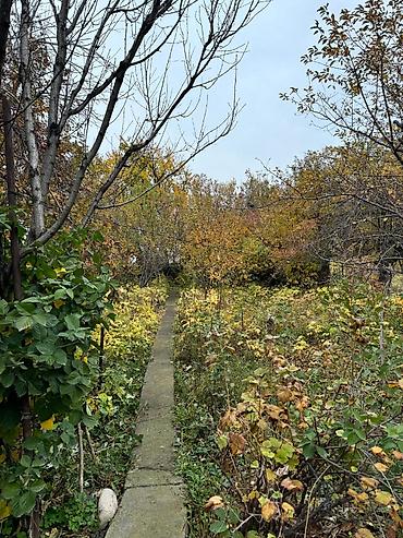 Продажа дачи: Продается Дача р-н Колос Ул. Мечта 2 Цена 95 000 $ - Дом кирпичный — 6