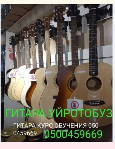 частные уроки гитары: ГИТАРА Обучения
