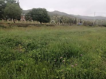 Torpaq sahələrinin satışı: 35 sot, Mülkiyyətçi, Kupça (Çıxarış) — 14