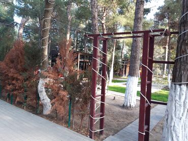 Restoran, kafelər: Sumqayıt şəhəri Nəsimi Parkında Meşəlik ərazidə yerləşən, açıq — 8