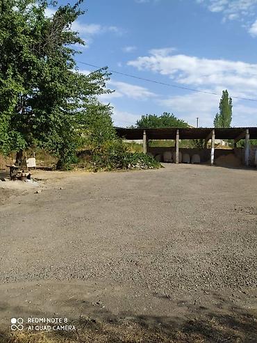 3 room flat: 20 соток, Для бизнеса — 5