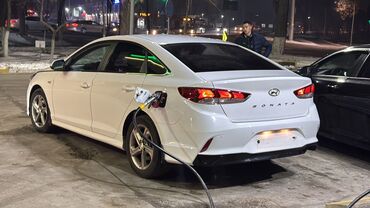 Hyundai: Hyundai Sonata: 2019 г., 2 л, Типтроник, Газ, Седан