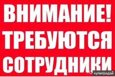 продавец консультант аламедин 1: Талап кылынат Сатуу боюнча менеджер, Иш тартиби: Нөөмөттүк график, Толук жумуш күнү, Карьера жактан көтөрүлүү