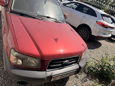 Subaru Forester: 2003 г., 2.5 л, Механика, Бензин, Универсал