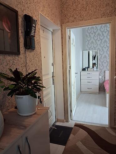 1 комната аренда: 2 комнаты, 42 м² — 2