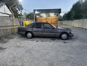Унаа: Mercedes-Benz W124: 1993 г. — 5