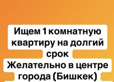 Сниму квартиру: 1 комната, 40 м², С мебелью