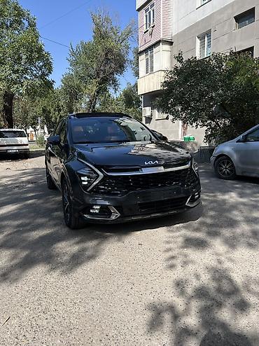 Продажа авто: Kia Sportage: 2021 г., 1.6 л, Автомат, Гибрид, Кроссовер — 3