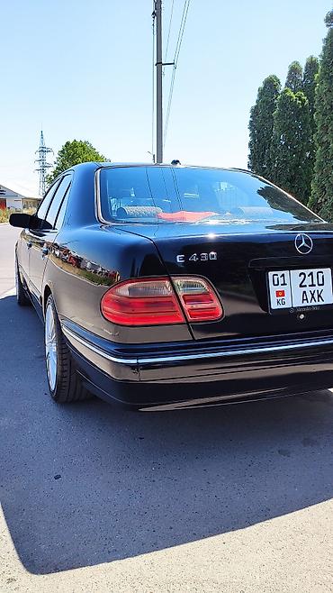 bud e9: Mercedes-Benz E-Class: 2000 г., 4.3 л, Автомат, Бензин, Седан — 5