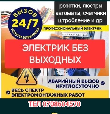 цветы в горшках бишкек цена: Электрик | Эсептегичтерди орнотуу, Кир жуугуч машиналарды орнотуу, Электр шаймандарын демонтаждоо 6 жылдан ашык тажрыйба