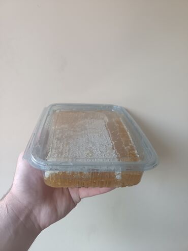 donuz əti satılır: Yeni sezon balıdır Pətək balıdı 1 kg vəya 0.5 kg artıq satışdadır neçə